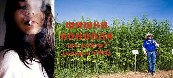каннабис Баксан